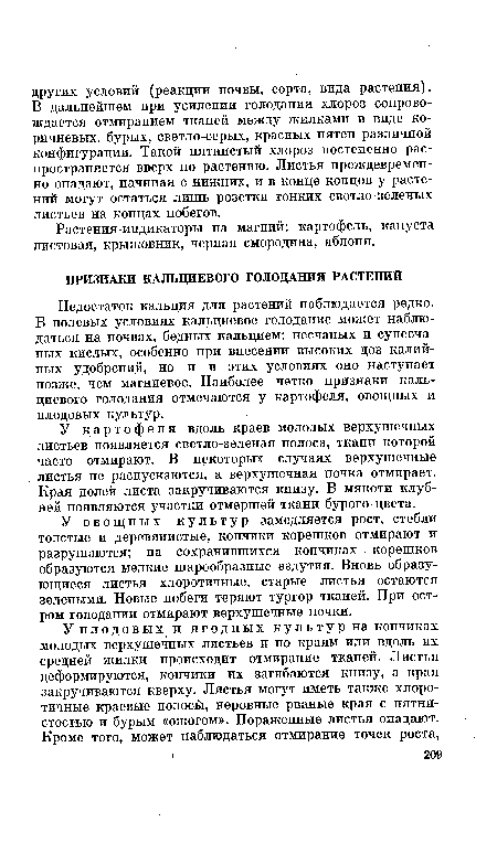 У овощных культур замедляется рост, стебли толстые и деревянистые, кончики корешков отмирают и разрушаются; на сохранившихся кончиках корешков образуются мелкие шарообразные вздутия. Вновь образующиеся листья хлоротичные, старые листья остаются зелеными. Новые побеги теряют тургор тканей. При остром голодании отмирают верхушечные почки.