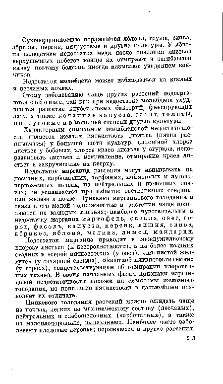 Характерным симптомом молибденовой недостаточности является желтая пятнистость листьев (пятна расплывчаты) у большей части культур, сплошной хлороз листьев у бобовых, хлороз краев листьев у огурцов, недоразвитость листьев и искривление, отмирание краев листьев и закручивание их кверху.