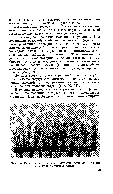 Вегетационный опыт по изучению влияния торфяных компостов на урожай ячменя.