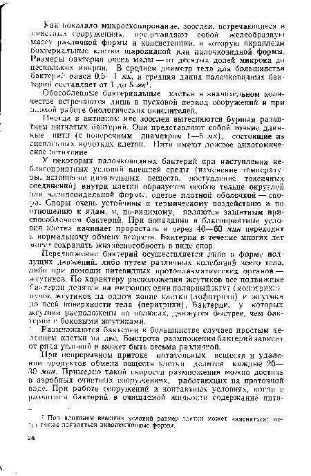 Обособленные бактериальные клетки в значительном количестве встречаются лишь в пусковой период сооружений и при плохой работе биологических окислителей.