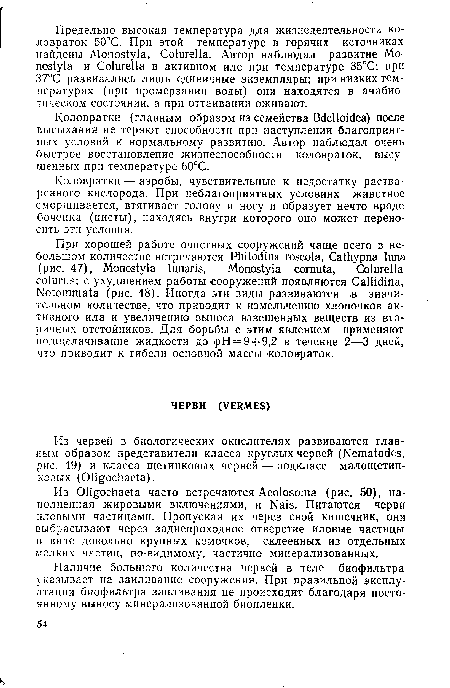 Из червей в биологических окислителях развиваются главным образом представители класса круглых червей (Nematodes, рис. 49) и класса щетинковых червей — подкласс малощетин-ковьтх (Oligochaeta).