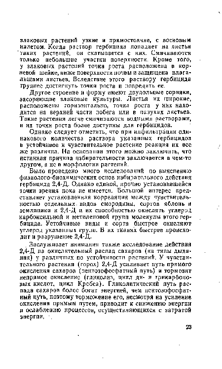 Другое строение и форму имеют двудольные сорняки, засоряющие злаковые культуры. Листья их широкие, расположены горизонтально, точка роста у них находится на верхней части побега или в пазухах листьев. Такие растения легче смачиваются водными растворами, и их точки роста более доступны для гербицидов.