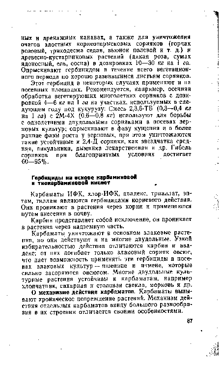 Карбаматы уничтожают в основном злаковые растения, но они действуют и на многие двудольные. Узкой избирательностью действия отличаются карбин и авадекс; от них погибает только злаковый сорняк овсюг, что дает возможность применять эти гербициды в посевах злаковых культур — пшенице и ячмене, которые сильно засоряются овсюгом. Многие двудольные культурные растения устойчивы к карбаматам, например хлопчатник, сахарная и столовая свекла, морковь и др.