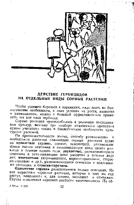 Чтобы успешно бороться с сорняками, надо знать их биологические особенности, а зная условия их роста, развития и размножения, можно с большей эффективностью применять тот или иной гербицид.
