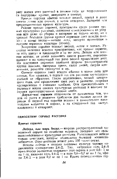 Ранние яровые сорняки, произрастая среди ранних яровых культурных растений, созревают одновременно с их уборкой или даже до уборки и засоряют не только почву, но и урожай. Большая группа яровых сорняков дает всходы поздно— в конце весны — начале лета, засоряя пропашные и поздние зерновые культуры (просо).