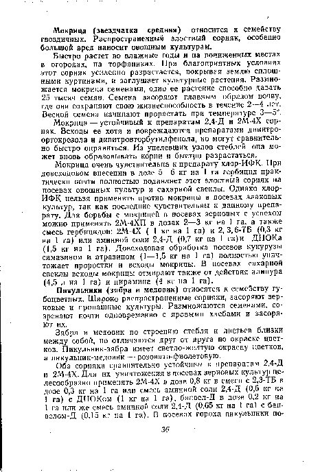 Быстро растет во влажные годы и на пониженных местах в огородах, на торфяниках. При благоприятных условиях этот сорняк усиленно разрастается, покрывая землю сплошными куртинами, и заглушает культурные растения. Размножается мокрица семенами, одно ее растение способно давать 25 тысяч семян. Семена засоряют главным образом почву, где они сохраняют свою жизнеспособность в течение 2—4 лет. Весной семена начинают прорастать при температуре 3—5°.