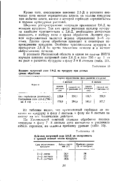 Широкое распространение получило применение 2,4-Д по всходам кукурузы. Так как среди зерновых культур кукуруза наиболее чувствительна к 2,4-Д, необходимо осторожно подходить к выбору дозы и срока обработки. Лучшим сроком опрыскивания является период образования 3—6 листьев. Другие сроки обработки приводят к некоторым повреждениям кукурузы. Особенно чувствительна кукуруза к препаратам 2,4-Д во время появления всходов и в момент выбрасывания метелки.