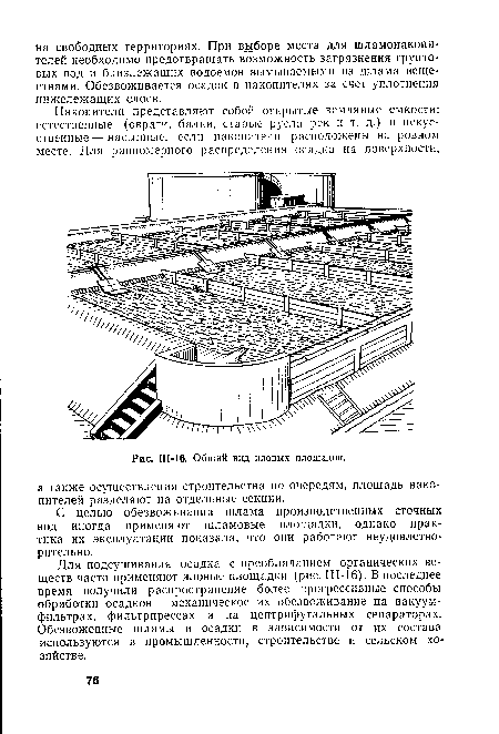 Общий вид иловых площадок.