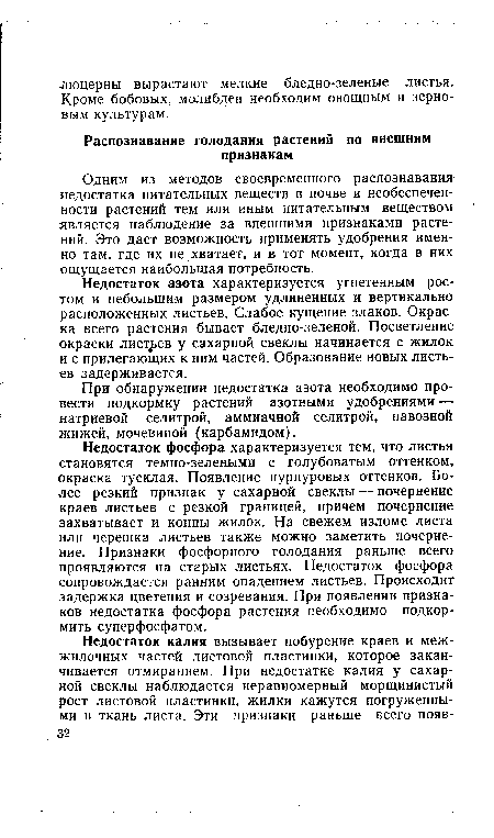 Недостаток фосфора характеризуется тем, что листья становятся темно-зелеными с голубоватым оттенком, окраска тусклая. Появление пурпуровых оттенков. Более резкий признак у сахарной свеклы — почернение краев листьев с резкой границей, причем почернение захватывает и концы жилок. На свежем изломе листа или черешка листьев также можно заметить почернение. Признаки фосфорного голодания раньше всего проявляются на старых листьях. Недостаток фосфора сопровождается ранним опадением листьев. Происходит задержка цветения и созревания. При появлении признаков недостатка фосфора растения необходимо подкормить суперфосфатом.