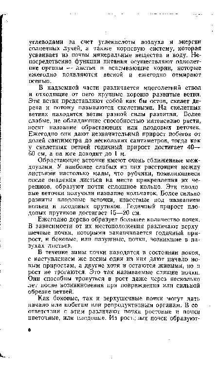 В течение зимы почки находятся в состоянии покоя, с наступлением же весны одни из них дают начало новым приростам, а другие хотя и остаются живыми, но в рост не трогаются. Это так называемые спящие почки. Они способны тронуться в рост даже через несколько лет после возникновения при повреждении или сильной обрезке ветвей.