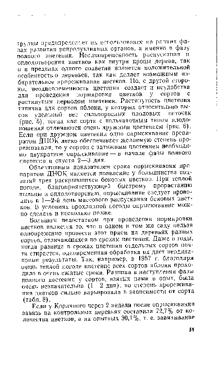 Объективным показателем срока опрыскивания препаратом ДНОК является появление у большинства соцветий трех раскрывшихся боковых цветков. При теплой погоде, благоприятствующей быстрому прорастанию пыльцы и оплодотворению, опрыскивание следует проводить в 1—2-й день массового распускания боковых цветков. В условиях прохладной погоды опрыскивание можно сделать и несколько позже.