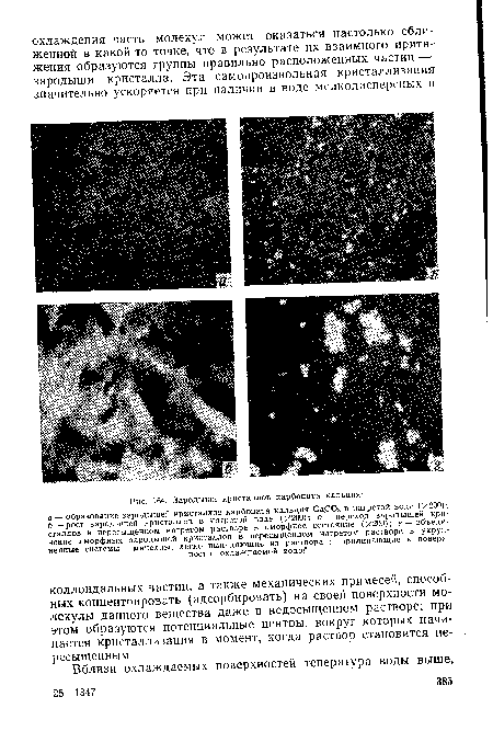 Зародыши кристаллов карбоната кальция