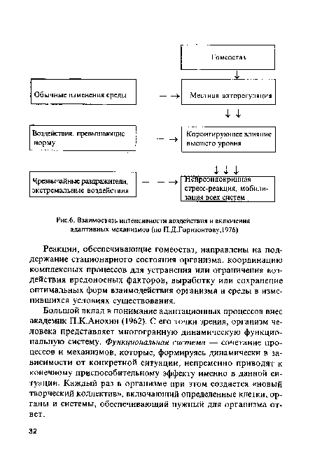 Взаимосвязь интенсивности воздействия и включения адаптивных механизмов (по П.Д.Горизонтову,1976)