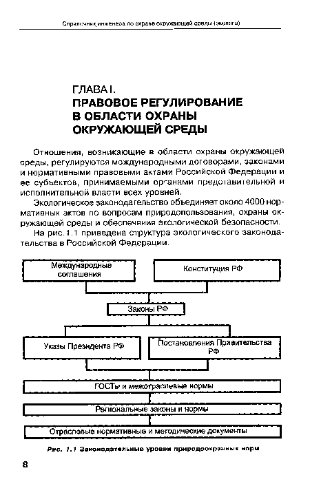 Отношения, возникающие в области охраны окружающей среды, регулируются международными договорами, законами и нормативными правовыми актами Российской Федерации и ее субъектов, принимаемыми органами представительной и исполнительной власти всех уровней.