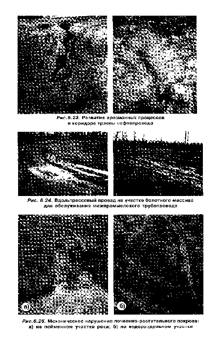 Вдольтрассовый проезд на участке болотного массива для обслуживания межпромыслового трубопровода