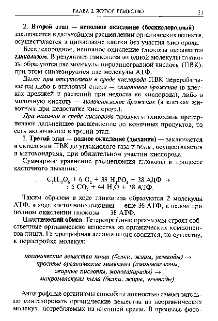 Бескислородное, неполное окисление глюкозы называется гликолизом. В результате гликолиза из одной молекулы глюкозы образуются две молекулы пировиноградной кислоты (ПВК), при этом синтезируются две молекулы АТФ.