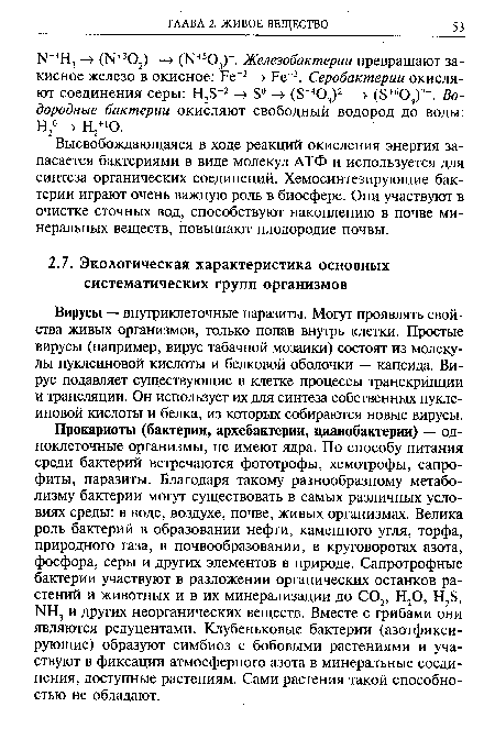 Вирусы — внутриклеточные паразиты. Могут проявлять свойства живых организмов, только попав внутрь клетки. Простые вирусы (например, вирус табачной мозаики) состоят из молекулы нуклеиновой кислоты и белковой оболочки — капсида. Вирус подавляет существующие в клетке процессы транскрипции и трансляции. Он использует их для синтеза собственных нуклеиновой кислоты и белка, из которых собираются новые вирусы.