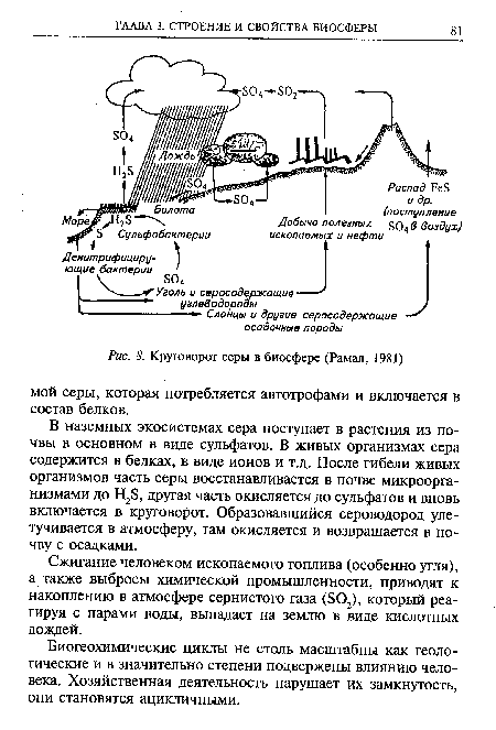 Круговорот серы в биосфере (Рамад, 1981)
