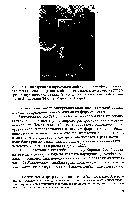 Химический состав биоорганических загрязнителей весьма сложен и определяется источниками их формирования.