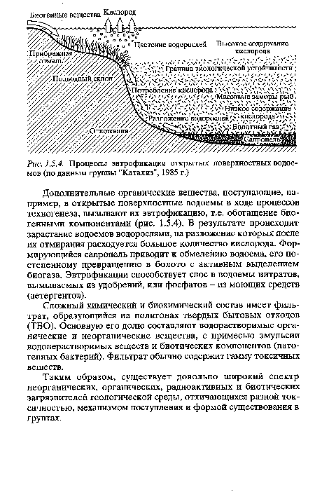 Процессы эвтрофикации открытых поверхностных водоемов (по данным группы "Катализ", 1985 г.)