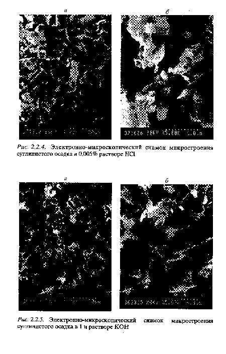 Электронно-микроскопический снимок микростроения