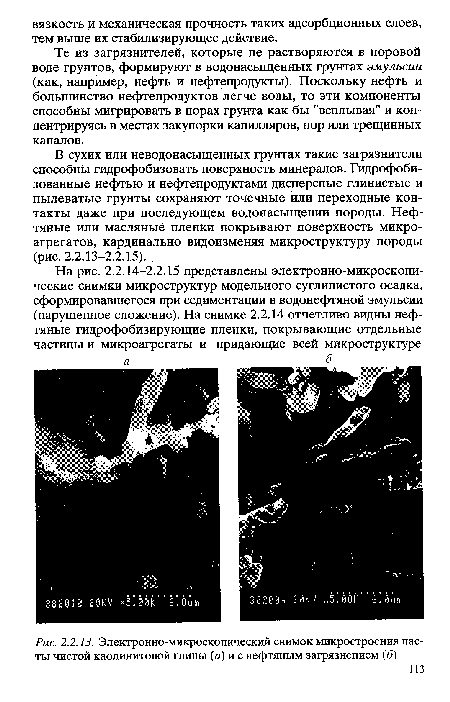 Электронно-микроскопический снимок микростроения пас-