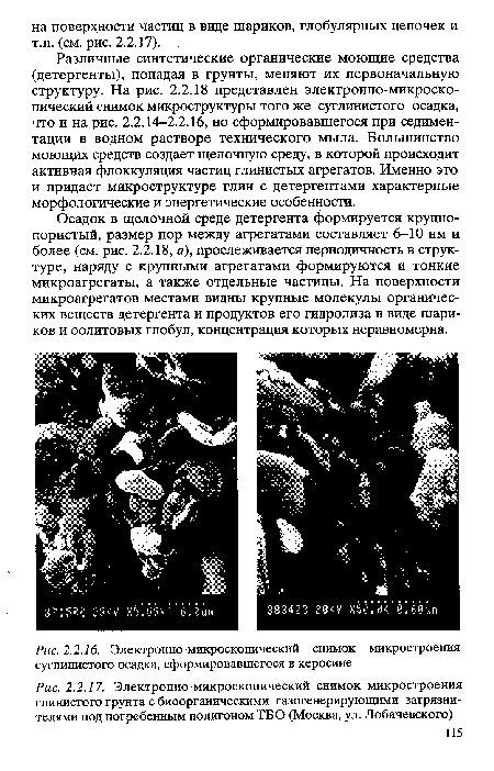 Электронно-микроскопический снимок микростроения глинистого грунта с биоорганическими газогенерирующими загрязнителями под погребенным полигоном ТБО (Москва, ул. Лобачевского)