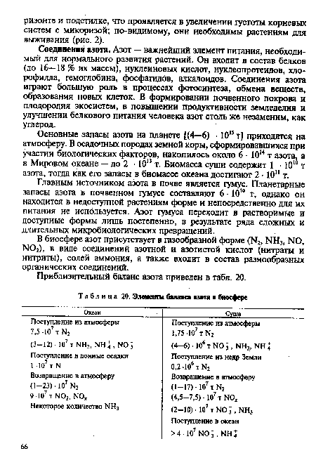 Элементы баланса азота ■ биосфере