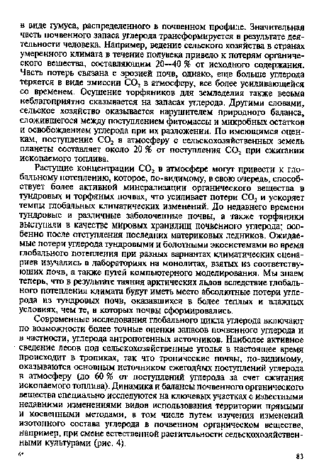 Современные исследования глобального цикла углерода включают по возможности более точные оценки запасов почвенного углерода и в частности, углерода антропогенных источников. Наиболее активное сведение лесов под сельскохозяйственные угодья в настоящее время происходит в тропиках, так что тропические почвы, по-видимому, оказываются основным источником ежегодйых поступлений углерода в атмосферу (до 60 % от поступлений углерода за счет сжигания ископаемого топлива). Динамика и балансы почвенного органического вещества специально исследуются на ключевых участках с известными недавними изменениями видов использования территории прямыми и косвенными методами, в том числе путем изучения изменений изотопного состава углерода в почвенном органическом веществе, например, при смене естественной растительности сельскохозяйственными культурами (рис. 4).