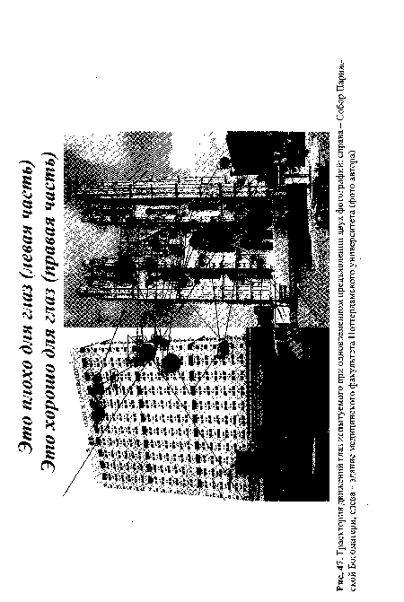 Траектория движений глаз испытуемого при одновременном предъявлении двух фотографий