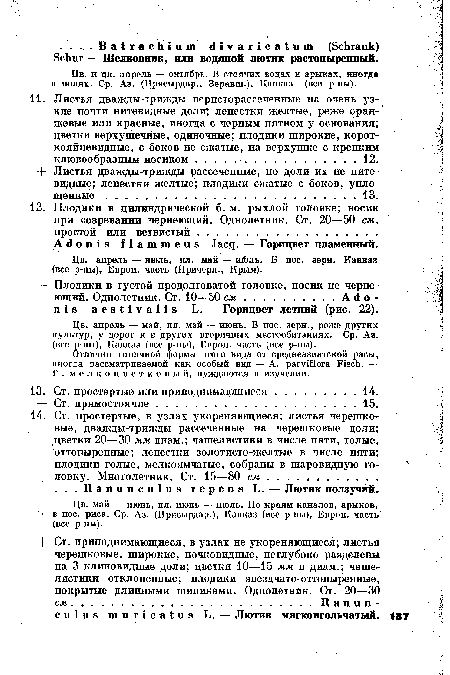 Цв. и пл. апрель — октябрь. В стоячих водах и арыках, иногда в полях. Ср. Аз. (Присырдар., Зеравш.), Кавказ (все р-ны).