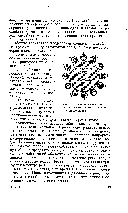 Условная схема фиксации катионов на поглощающем комплексе почвы.