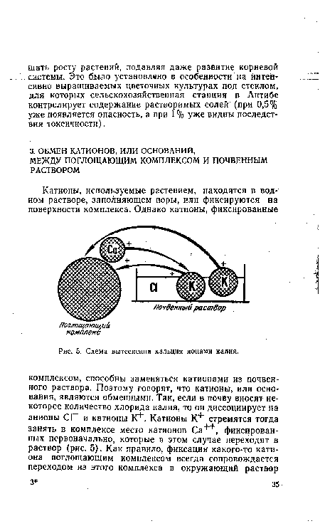 Схема вытеснения кальция ионами калия.