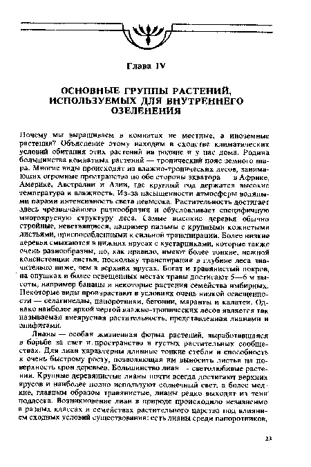 Почему мы выращиваем в комнатах не местные, а иноземные растения? Объяснение этому находим в сходстве климатических условий обитания этих растений на родине и у нас дома. Родина большинства комнатных растений — тропический пояс земного шара. Многие виды происходят из влажно-тропических лесов, занимающих огромные пространства по обе стороны экватора — в Африке, Америке, Австралии и Азии, где круглый год держатся высокие температура и влажность. Из-за насыщенности атмосферы водяными парами интенсивность света невысока. Растительность достигает здесь чрезвычайного разнообразия и обусловливает специфичную многоярусную структуру леса. Самые высокие деревья обычно стройные, неветвящиеся, например пальмы с крупными кожистыми листьями, приспособленными к сильной транспирации. Более низкие деревья смыкаются в нижних ярусах с кустарниками, которые также очень разнообразны, но, как правило, имеют более тонкие, нежной консистенции листья, поскольку транспирация в глубине леса значительно ниже, чем в верхних ярусах. Богат и травянистый покров, на опушках и более освещенных местах травы достигают 5—6 м высоты, например бананы и некоторые растения семейства имбирных. Некоторые виды произрастают в условиях очень низкой освещенности — селагинеллы, папоротники, бегонии, маранты и калатеи. Однако наиболее яркой чертой влажно-тропических лесов является так называемая внеярусная растительность, представленная лианами и эпифитами.