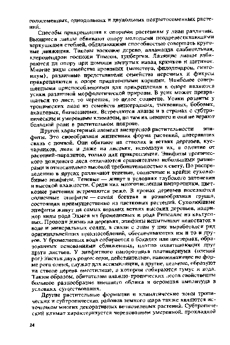 Другой характерный элемент внеярусной растительности — эпифиты. Это своеобразная жизненная форма растений, потерявших связь с почвой. Они обитают на стволах и ветвях деревьев, кустарников, лиан и даже на листьях, используя их, в отличие от растений-паразитов, только д ля прикрепления. Эпифиты тропического дождевого леса отличаются сравнительно небольшими размерами и относительно высокой требовательностью к свету. По распределению в ярусах различают теневые, солнечные и крайне сухолюбивые эпифиты. Теневые — живут в условиях глубокого затенения и высокой влажности. Среди них многочисленны папоротники, цветковые растения встречаются реже. В кронах деревьев поселяются солнечные эпифиты — самая богатая и разнообразная группа, состоящая преимущественно из цветковых растений. Сухолюбивые эпифиты живут на самых верхних ветвях высоких деревьев, например виды рода Эхмея из бромелиевых и рода Рипсалис из кактусовых. Проводя жизнь на деревьях, эпифиты испытывают недостаток в воде и минеральных солях, в связи с этим у них выработался ряд оригинальнейших приспособлений, обеспечивающих им и то и другое. У бромелиевых вода собирается в бокалах или цистернах, образованных основаниями сближенных, плотно охватывающих друг друга листьев. У эпифитного папоротника платицериума (олений рог) листья двух родов: одни, действительно, напоминающие по форме рога оленя, служат для ассимиляции, а другие, цельные, образуют на стволе дерева вместилище, в котором собираются гумус и вода. Таким образом, обитателям влажно-тропических лесов свойственны большое разнообразие внешнего облика и огромная амплитуда в условиях существования.