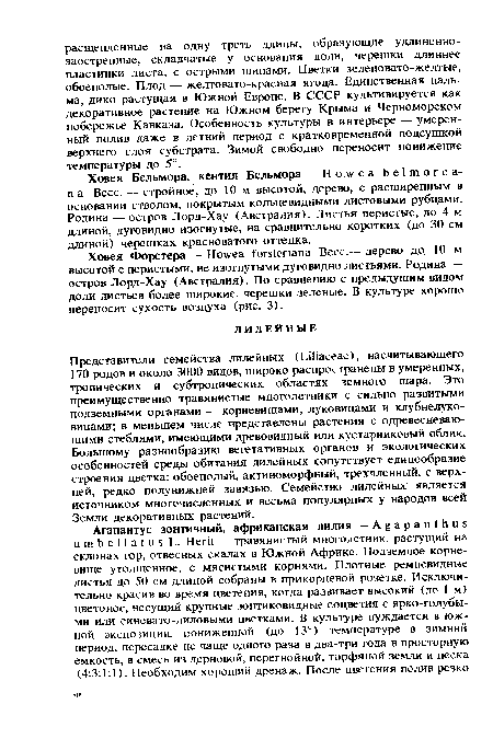 Представители семейства лилейных (ЬШасеае), насчитывающего 170 родов и около 3000 видов, широко распространены в умеренных, тропических и субтропических областях земного шара. Это преимущественно травянистые многолетники с сильно развитыми подземными органами — корневищами, луковицами и клубнелуковицами; в меньшем числе представлены растения с одревесневающими стеблями, имеющими древовидный или кустарниковый облик. Большому разнообразию вегетативных органов и экологических особенностей среды обитания лилейных сопутствует единообразие строения цветка: обоеполый, актиноморфный, трехчленный, с верхней, редко полунижней завязью. Семейство лилейных является источником многочисленных и весьма популярных у народов всей Земли декоративных растений.