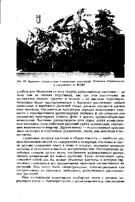 Групповые посадки растений в общую емкость — наиболее распространенный способ их содержания в интерьере. Растения в группе дольше сохраняют влагу в почве и воздухе, занимают меньшую площадь и отличаются высокой декоративностью. Растениеводы-дизайнеры создали целую науку построения художественно-декоративных композиций из живых растений. Такие композиции представляют собой как бы живые объемные картины, в которых гармонично сочетаются все декоративные признаки составляющих их растений. Они могут быть симметричными, асимметричными или построенными по принципу свободного, естественного расположения растений.