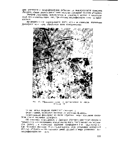 Образование пленки из фитопланктона на микросетке (X 100).