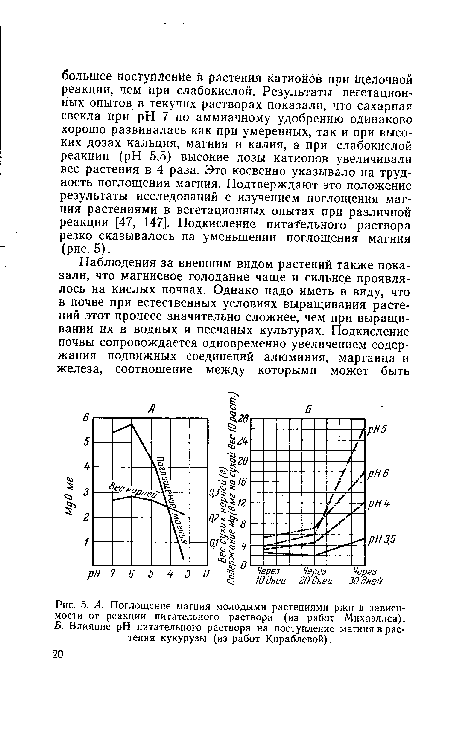 А. Поглощение магния молодыми растениями ржи в зависимости от реакции питательного раствора (из работ Михаэлиса). £. Влияние pH питательного раствора на поступление магния в растения кукурузы (из работ Кораблевой).