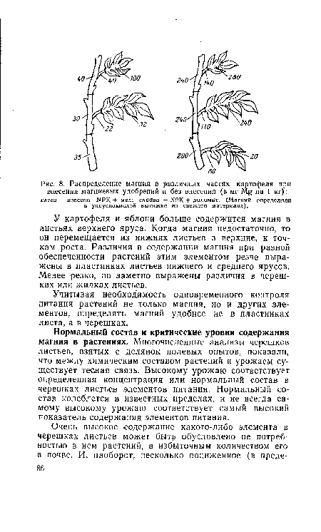 У картофеля и яблони больше содержится магния в листьях верхнего яруса. Когда магния недостаточно, то он перемещается из нижних листьев в верхние, к точкам роста. Различия в содержании магния при разной обеспеченности растений этим элементом резче выражены в пластинках листьев нижнего и среднего ярусов. Менее резко, но заметно выражены различия в черешках или жилках листьев.