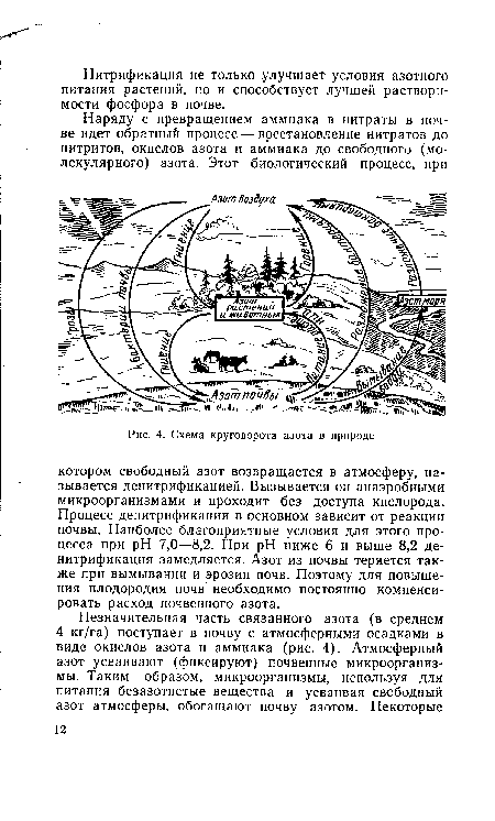 Схема круговорота азота в природе