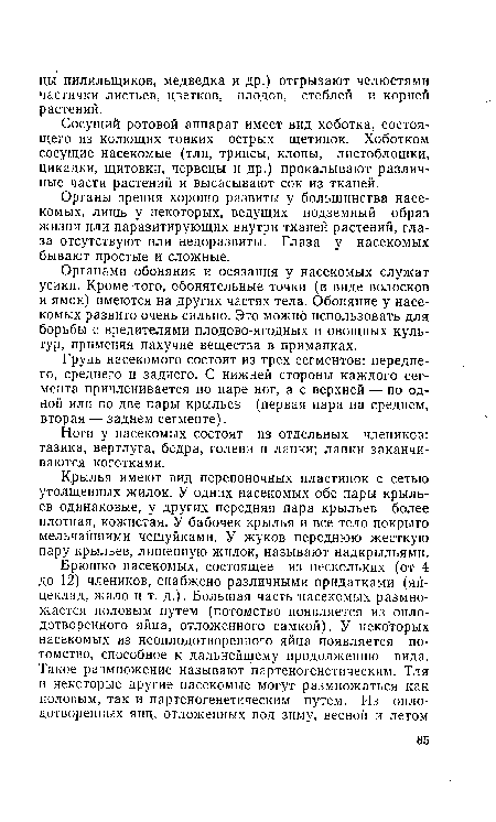 Крылья имеют вид перепоночных пластинок с сетью утолщенных жилок. У одних насекомых обе пары крыльев одинаковые, у других передняя пара крыльев более плотная, кожистая. У бабочек крылья и все тело покрыто мельчайшими чешуйками. У жуков переднюю жесткую пару крыльев, лишенную жилок, называют надкрыльями.