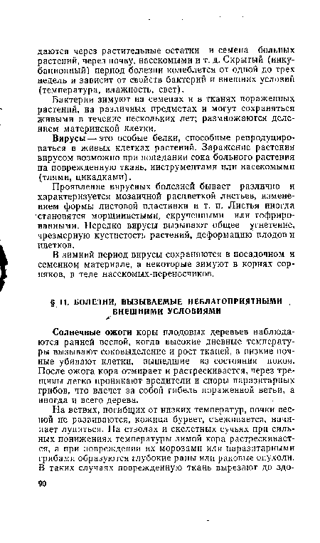 Солнечные ожоги коры плодовых деревьев наблюдаются ранней весной, когда высокие дневные температуры вызывают соковыделение и рост тканей, а низкие ночные убивают клетки, вышедшие из состояния покоя. После ожога кора отмирает и растрескивается, через трещины легко проникают вредители и споры паразитарных грибов, что влечет за собой гибель пораженной ветви, а иногда и всего дерева.