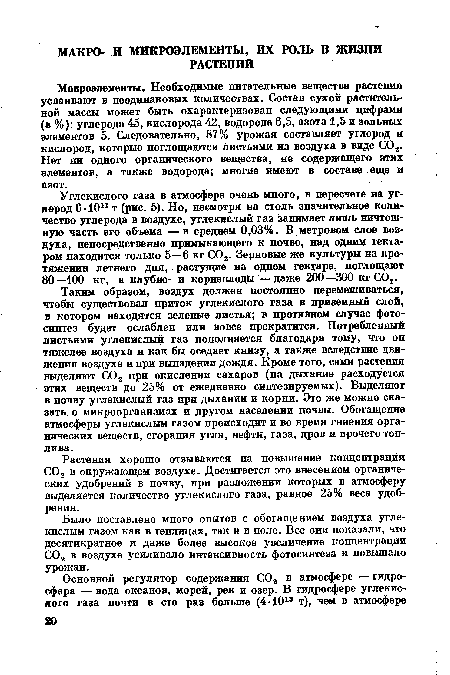 Растения хорошо отзываются на повышение концентрации С02 в окружающем воздухе. Достигается это внесением органических удобрений в почву, при разложении которых в атмосферу выделяется количество углекислого газа, равное 25% веса удобрения.