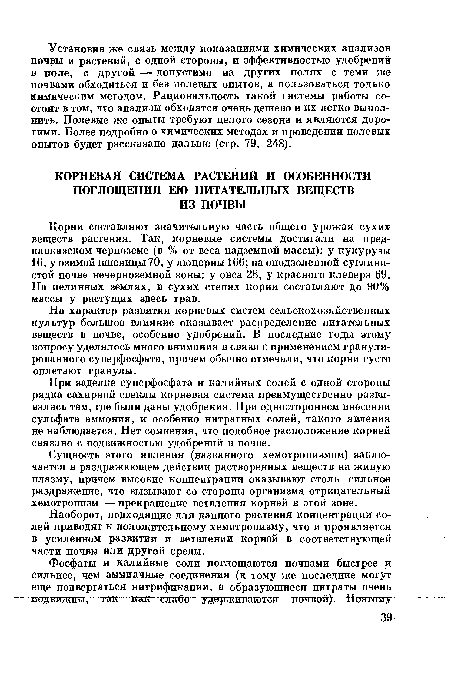 При заделке суперфосфата и калийных солей с одной стороны рядка сахарной свеклы корневая система преимущественно развивалась там, где были даны удобрения. При одностороннем внесении сульфата аммония, и особенно нитратных солей, такого явления не наблюдается. Нет сомнения, что подобное расположение корней связано с подвижностью удобрений в почве.