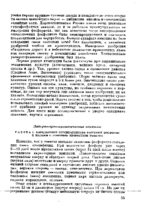 Известно, что у томатов внешние симптомы фосфорного голодания очень специфичны. При недостатке фосфора уже через 8—10 дней после прорастания семян (через 14 дней после посева) появляются характерные признаки. Ланцетовидные семядоли направлены кверху и образуют острый угол. Настоящие листья (первая пара) маленькие и вверху прижаты друг к другу. Окраска нижней стороны семядолей и настоящих листьев красно-фиолетовая; верхняя сторона — темная, сине-зеленая. При нормальном фосфатном питании семядоли принимают горизонтальное или наклонное (вниз) положение, первая пара листьев развернута, окраска нормальная, зеленая.