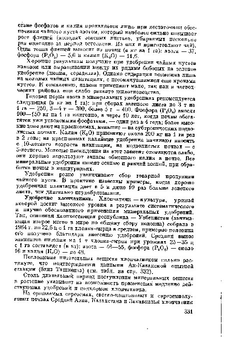 Удобрения резко увеличивают сбор товарной продукции чайного куста. В практике известны примеры, когда хорошо удобренная плантация дает в 5 и даже 10 раз больше зеленого листа, чем длительно неудобрявшаяся.