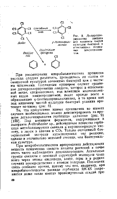 При рассмотрении микробиологических процессов распада следует различать, проводились ли опыты со смешанной культурой почвенных бактерий или с чистыми штаммами. Наглядным примером служит сравнение дегидрохлорирования линдана, которое в естественной почве, следовательно, под влиянием многочисленных видов микроорганизмов, ведет прежде всего к образованию пентахлорциклогексена, в то время как под влиянием чистой культуры бактерий реакция протекает по-иному (рис. 8).