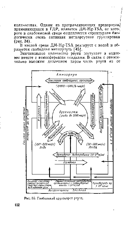 Глобальный круговорот ртути,