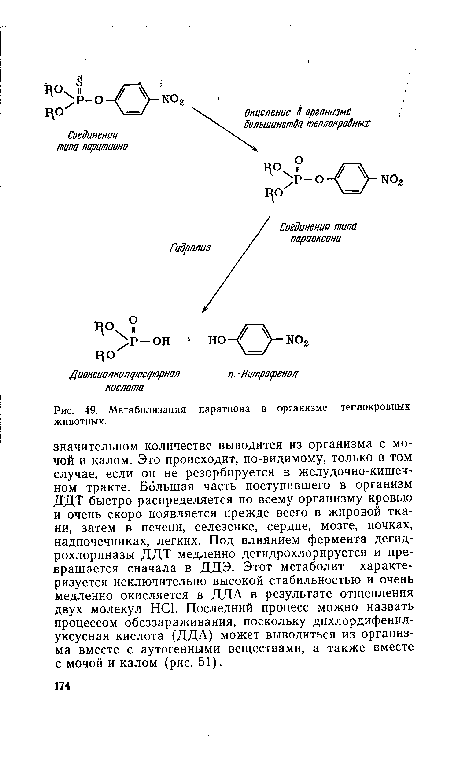 Метаболизация паратиона в организме теплокровных животных.